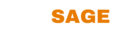 nexsage-logo